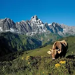 Apartment In St Gallenkirch Near Lift