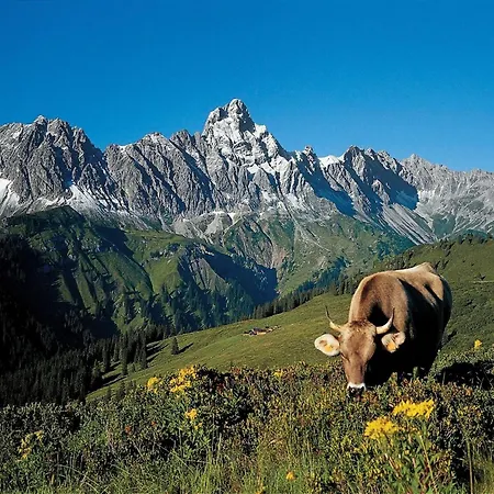 Daire In St Gallenkirch Near Lift