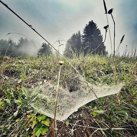 In St Gallenkirch Near Lift Sankt Gallenkirch