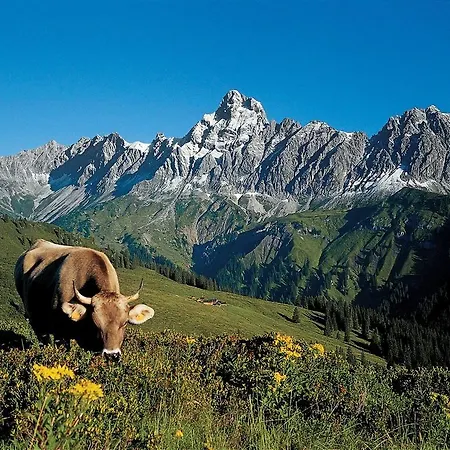 In St Gallenkirch Near Lift