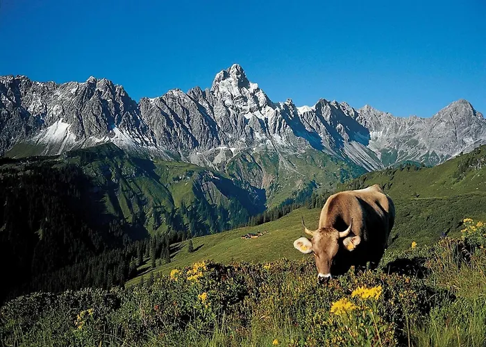 דירה In St Gallenkirch Near Lift