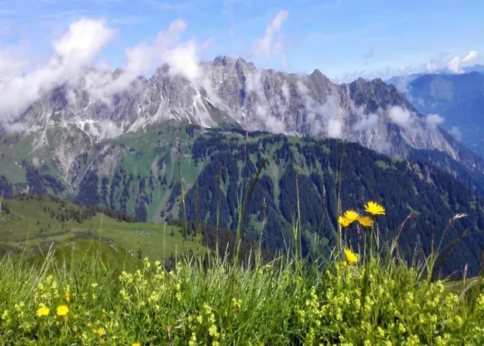 In St Gallenkirch Near Lift דירה *