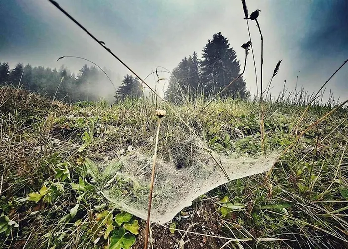 In St Gallenkirch Near Lift סנט גלנקירש