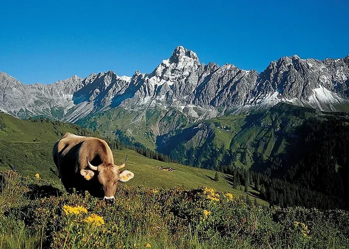 In St Gallenkirch Near Lift